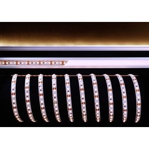 Light Impressions Deko-Light flexibilní LED pásek 3528-120-12V-2700K-5m 12V DC 36,00 W 2700 K 2250 lm 5000 mm 840164
